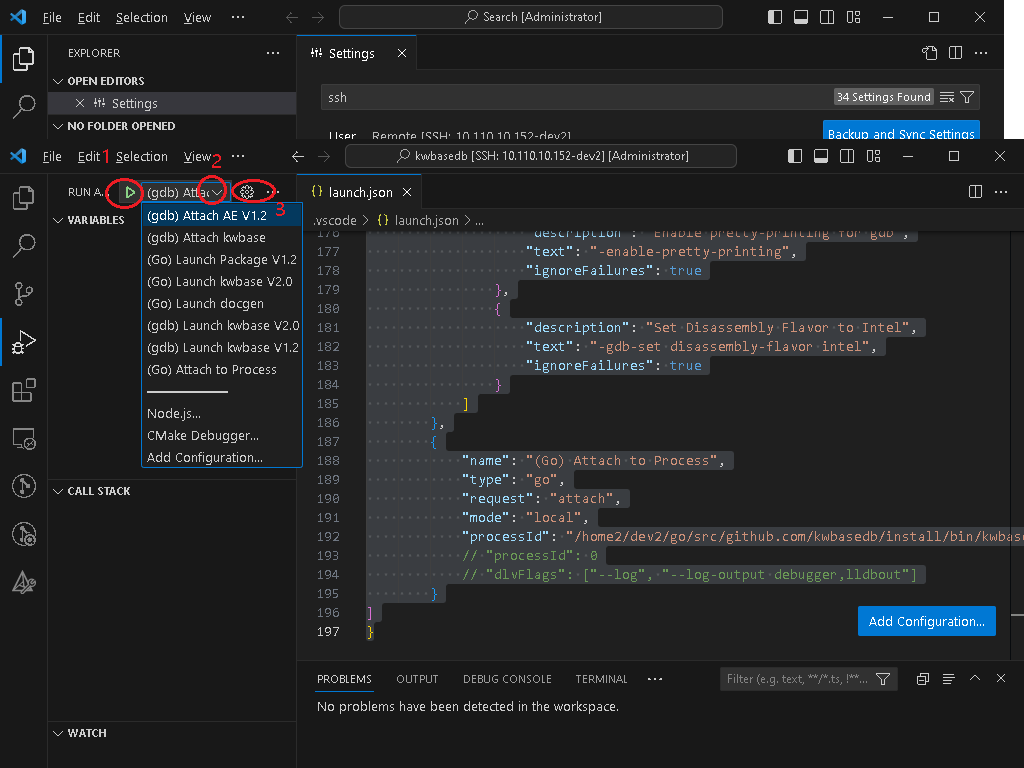 Debug Configuration Interface