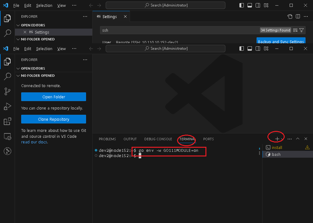 Configure GO111MODULE